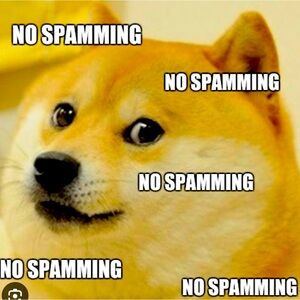 NO SPAMMING ON MY POST